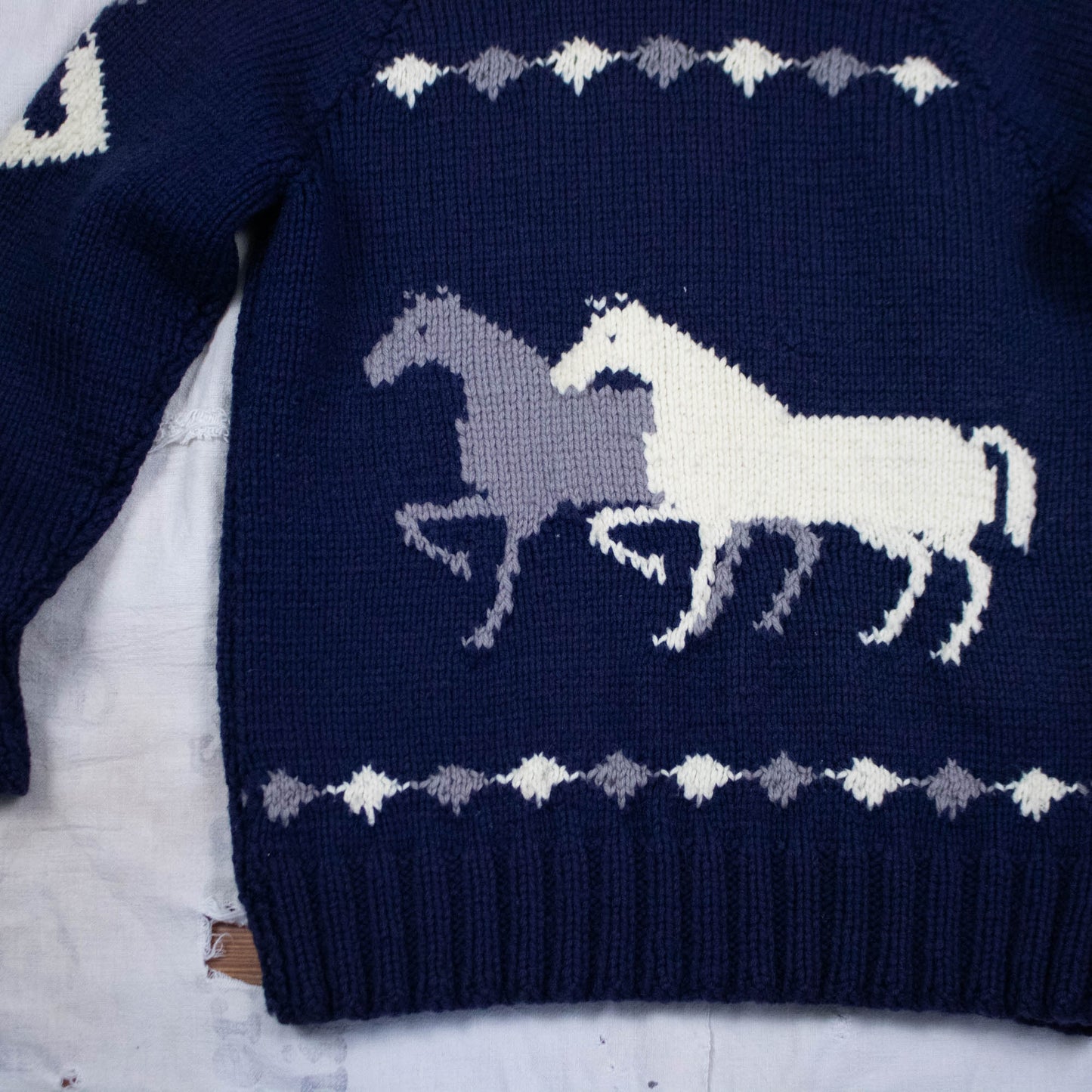 Horse Cowichan