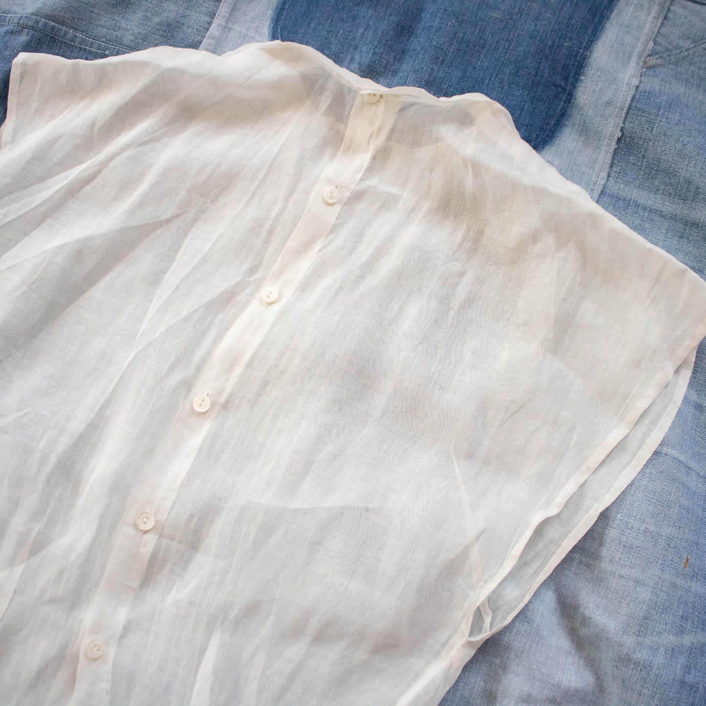 Sheer Victorian Voile Blouse