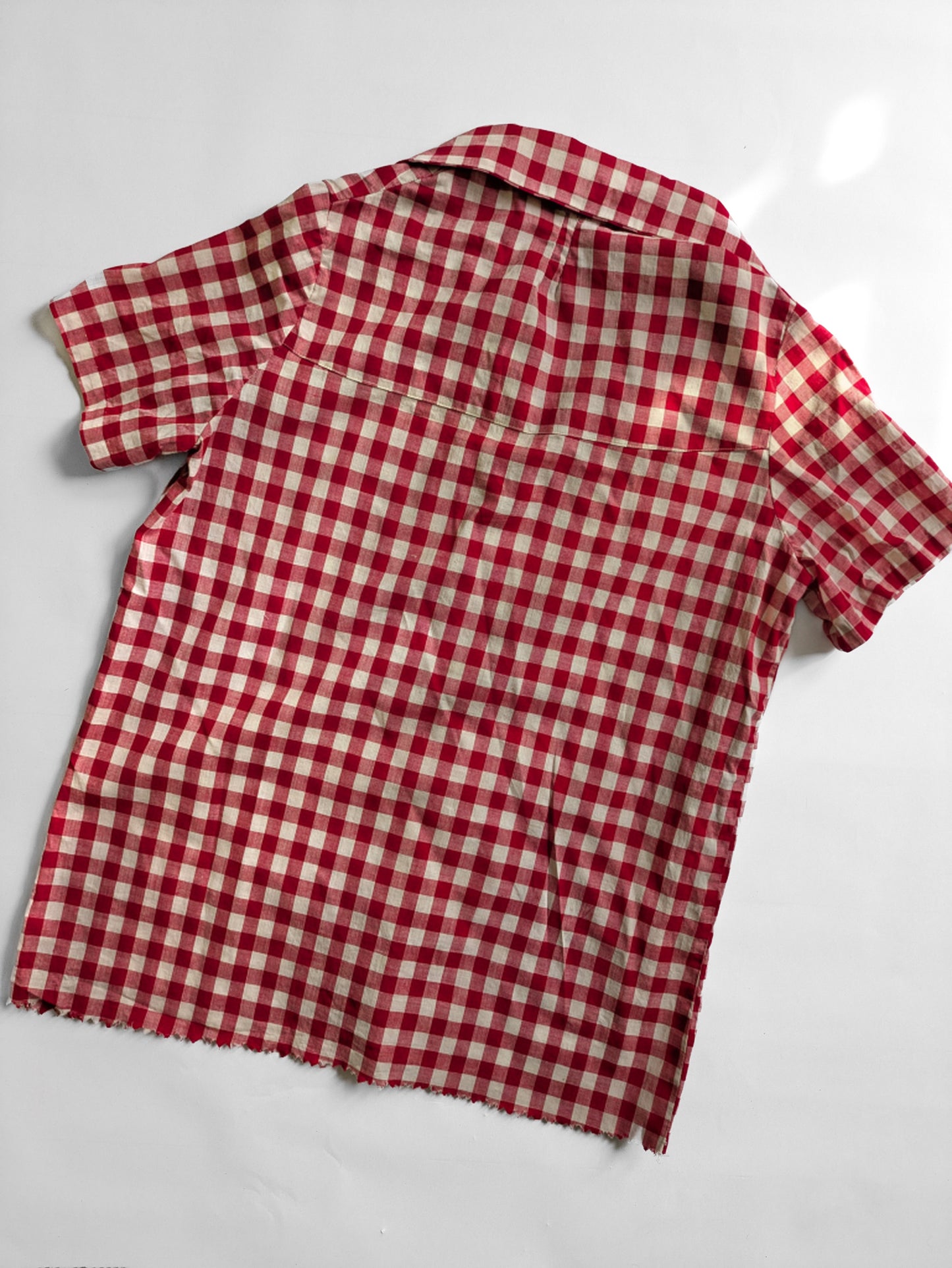 Red Gingham Blouse
