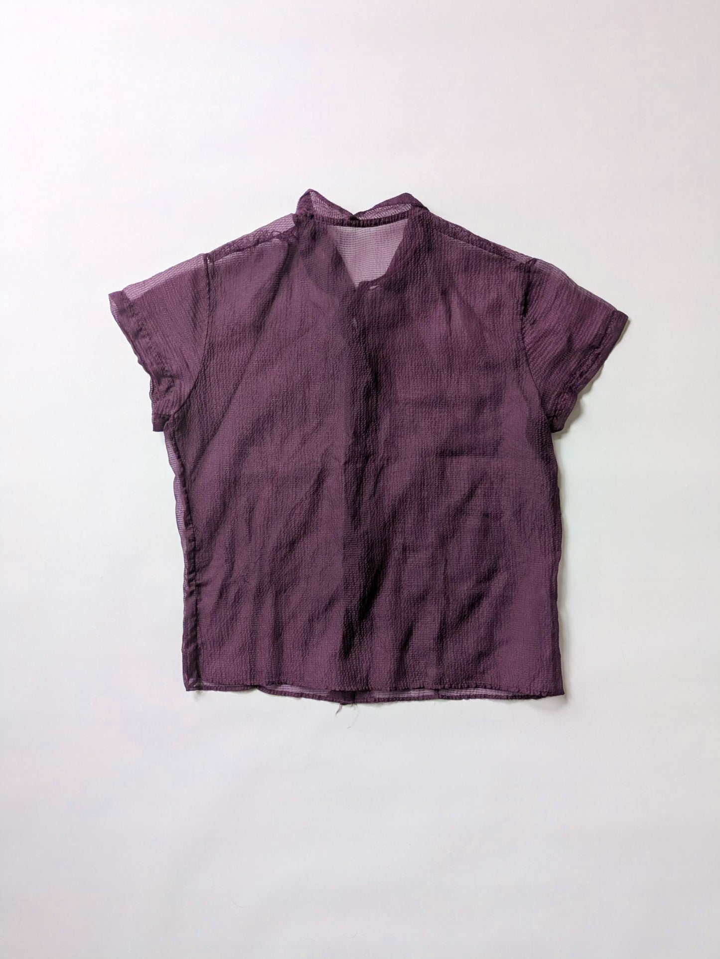 Sheer Purple Blouse