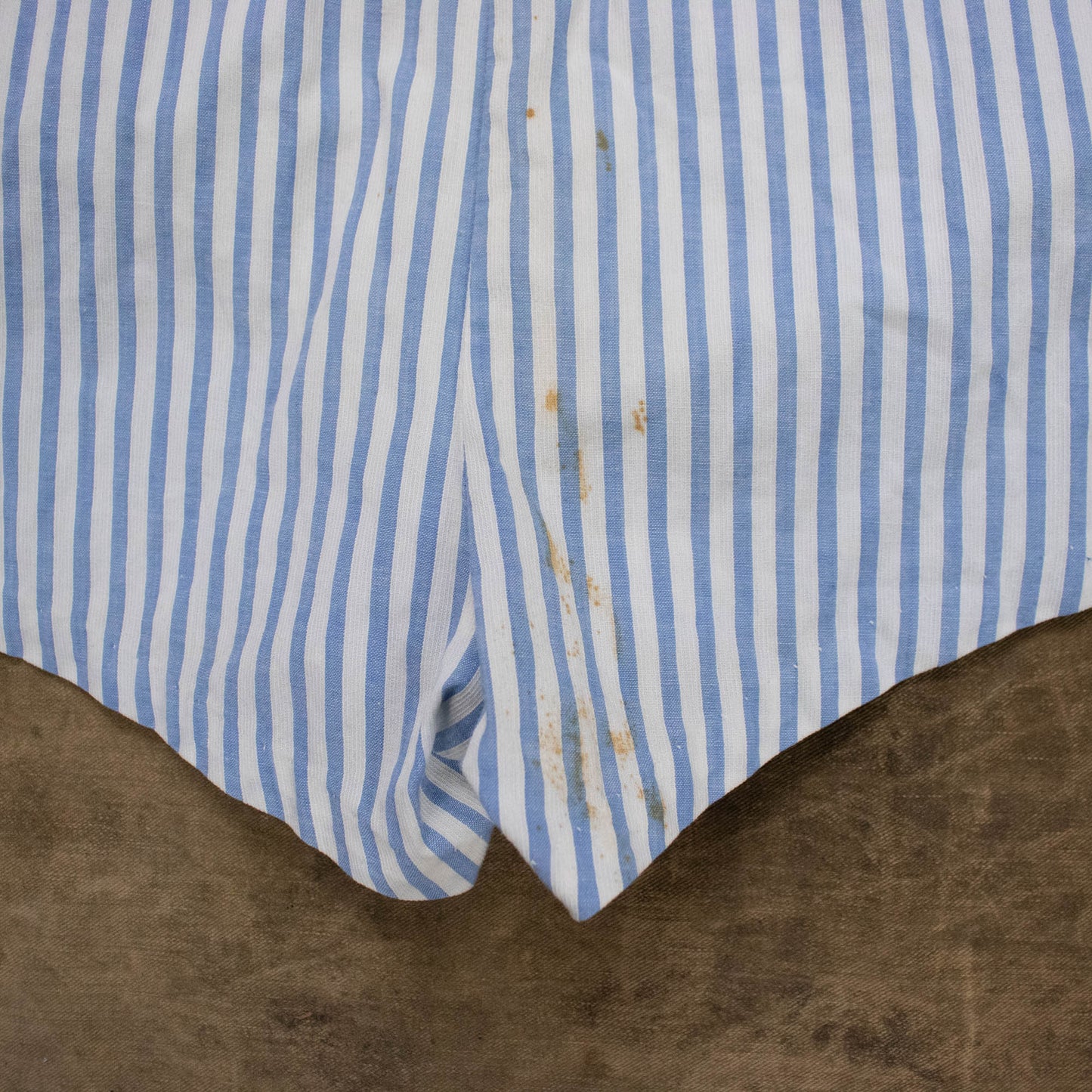 40's Catalina Ruffled Side Button Shorts