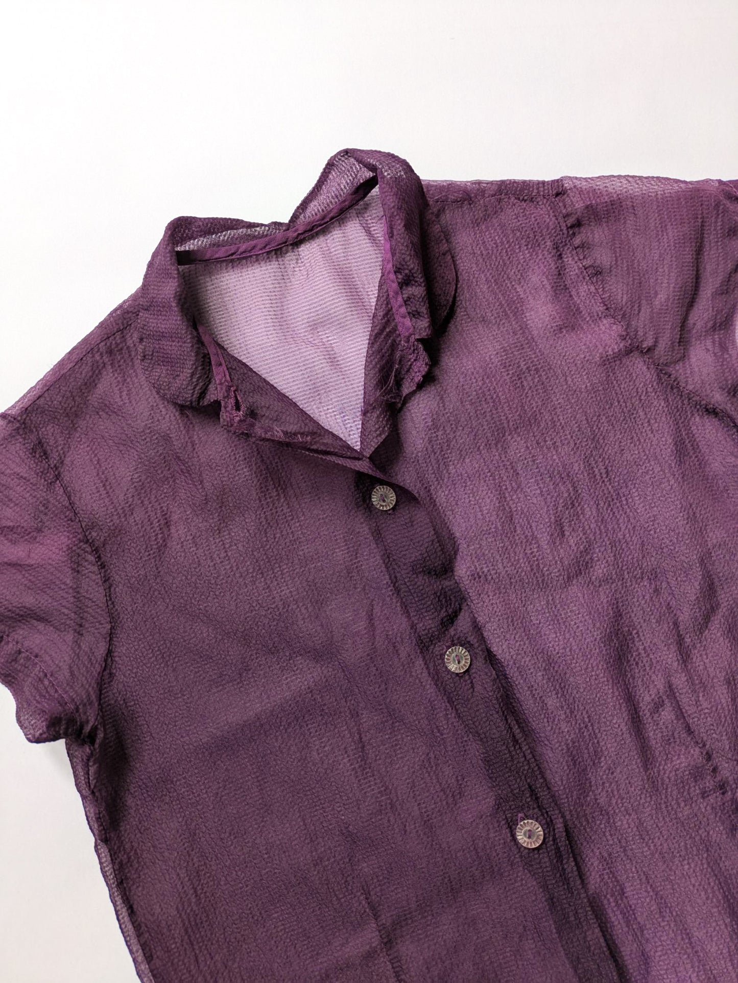 Sheer Purple Blouse