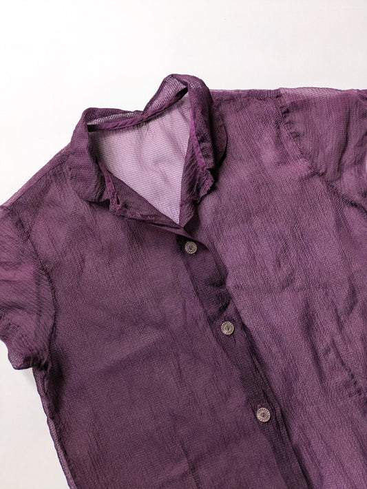 Sheer Purple Blouse