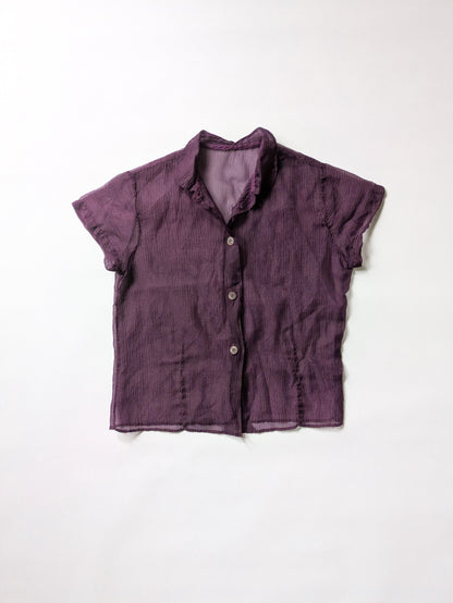 Sheer Purple Blouse
