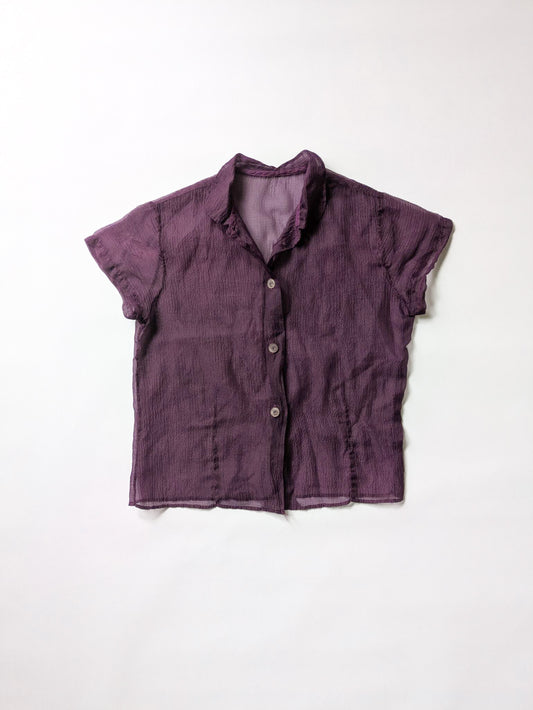 Sheer Purple Blouse