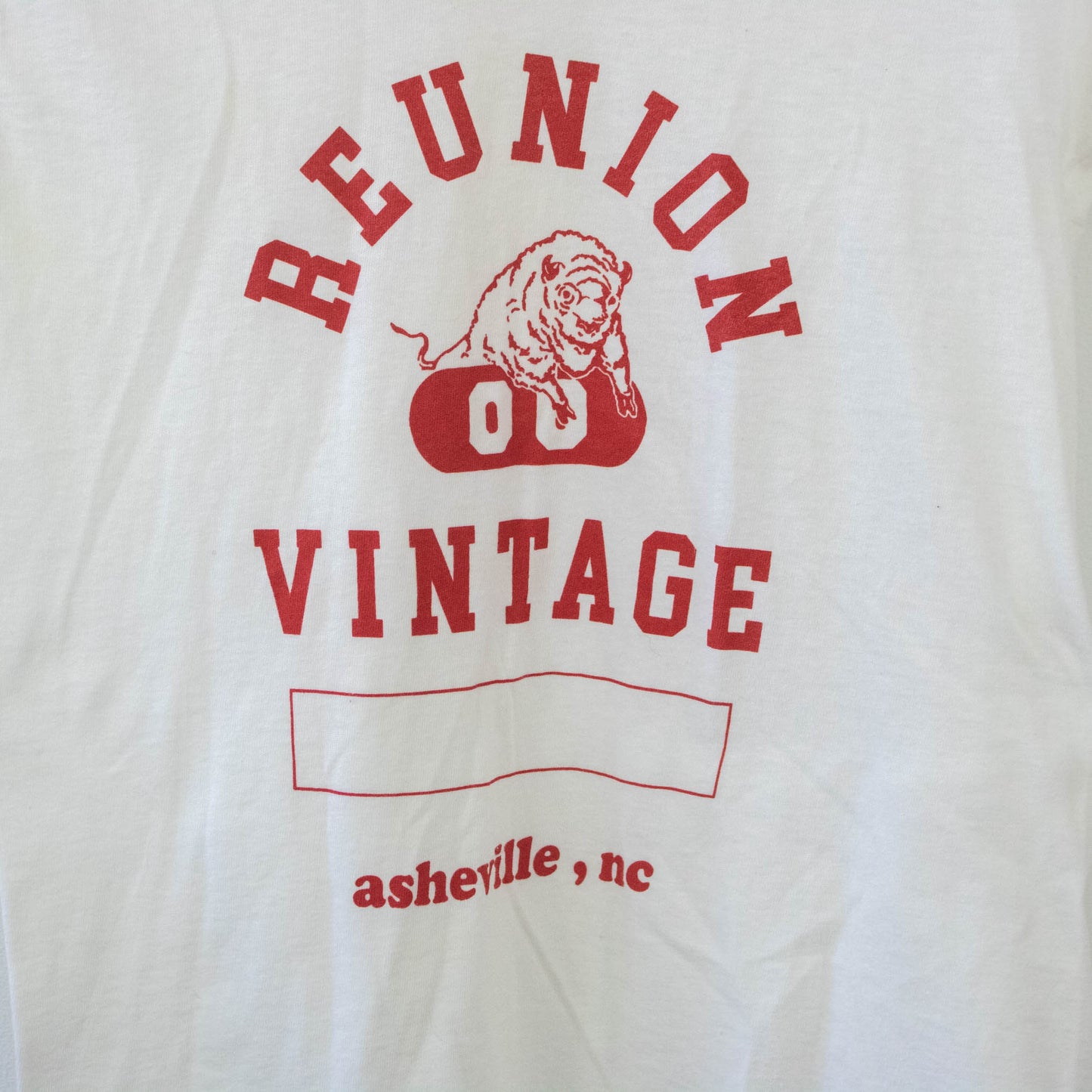 Vintage Unisex XS Small Reunion Vintage T Shirt (4)